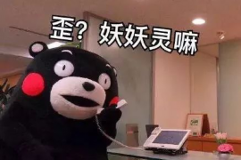 桐城融资清欠服务